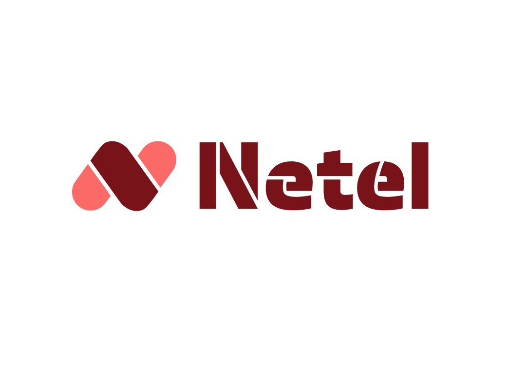 Netel Oy logo