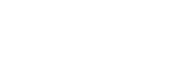 logo-talenom